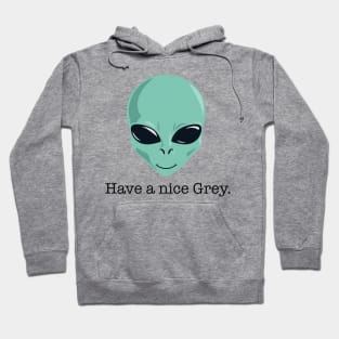 Have a Nice Grey Hoodie